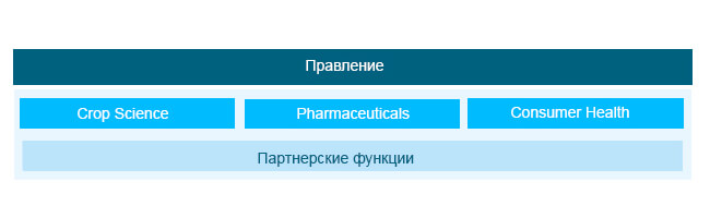 Организационная структура Bayer